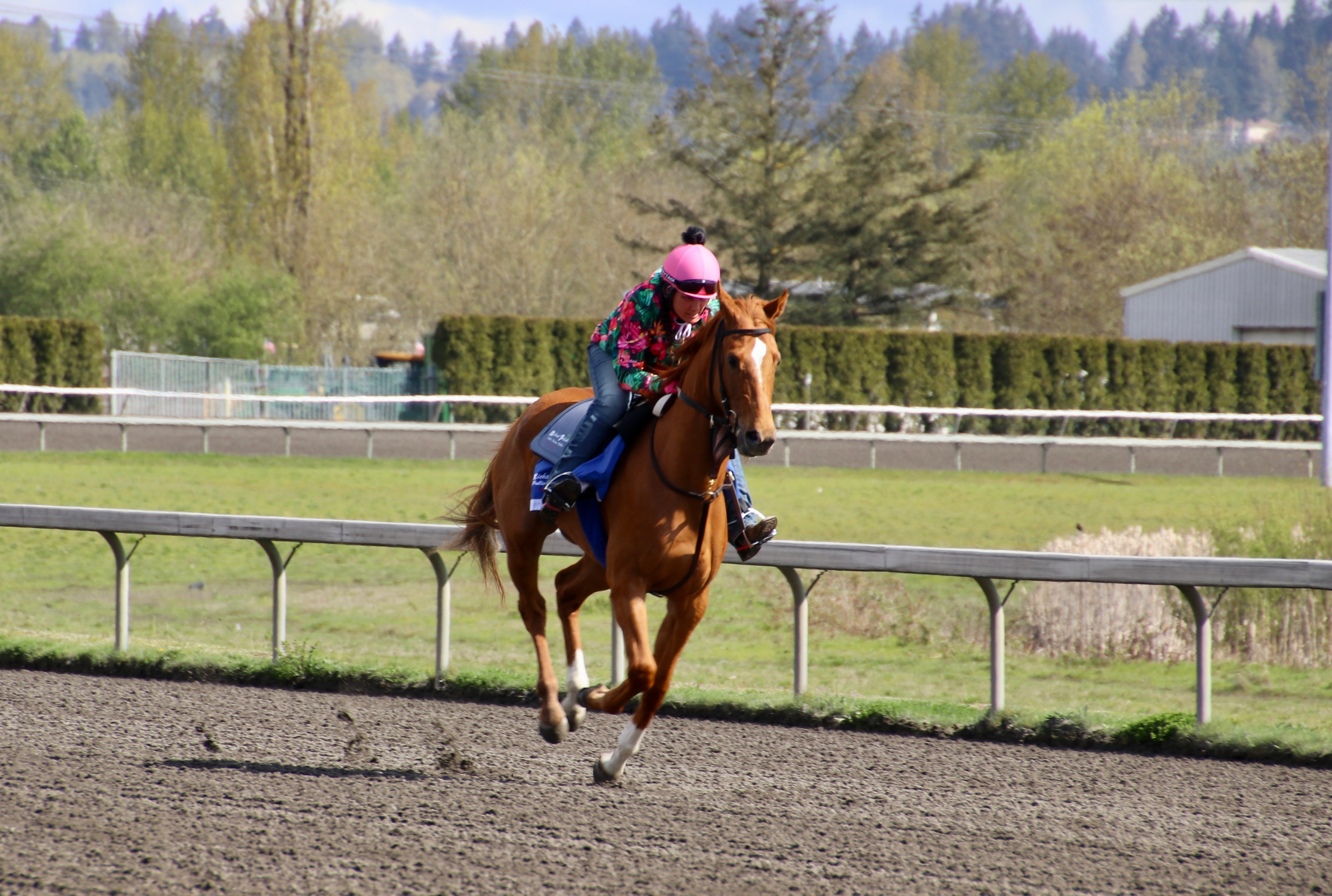 Photo of Flyin'Wildnfree