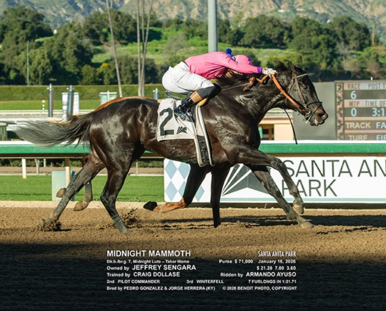 Photo of Midnight Mammoth